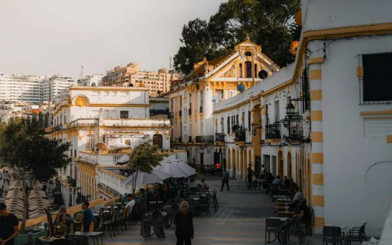 80% of Dutch-born Moroccan descendants return within six years of moving abroad