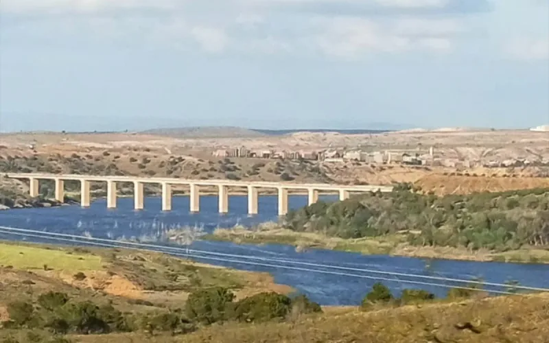 Algeria Blames Moroccan Businesses for Dam Pollution, but Researchers Question the Claims