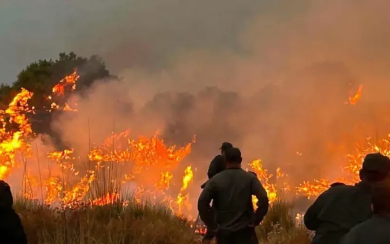 Algeria: forests burn, Moroccan aid remains taboo