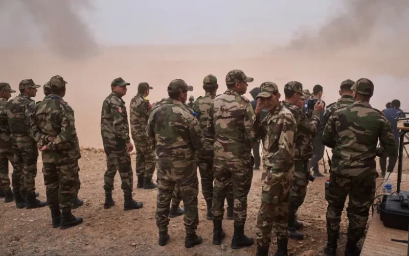 American Soldier Recovered Morocco African Lion 2026