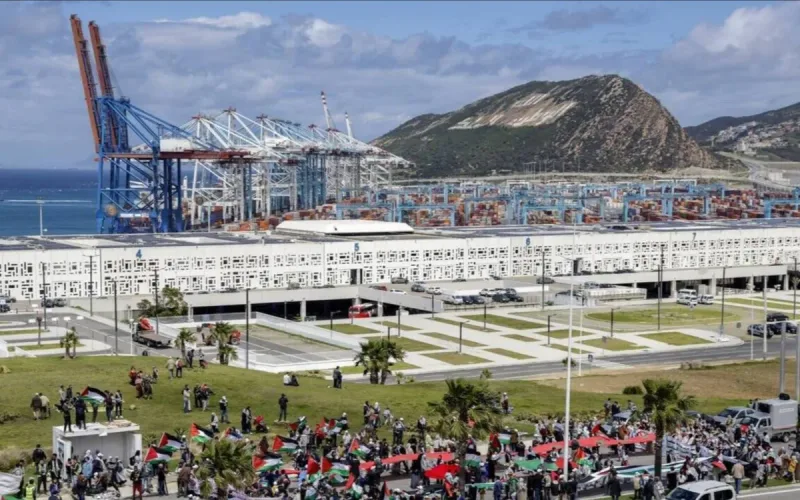 Amnesty Report: Moroccan Dockers Elevated to Symbol of Resistance