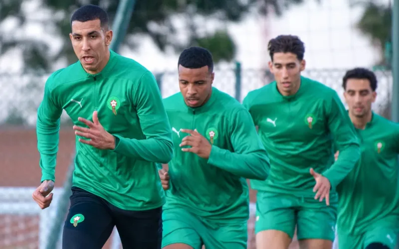Atlas Lions: Walid Regragui's big clean-up after the AFCON final