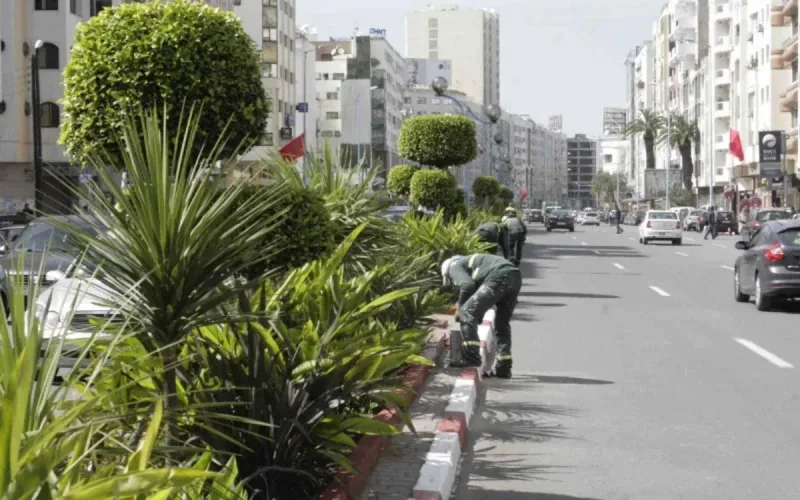 Casablanca: Restaurant Owners Outraged