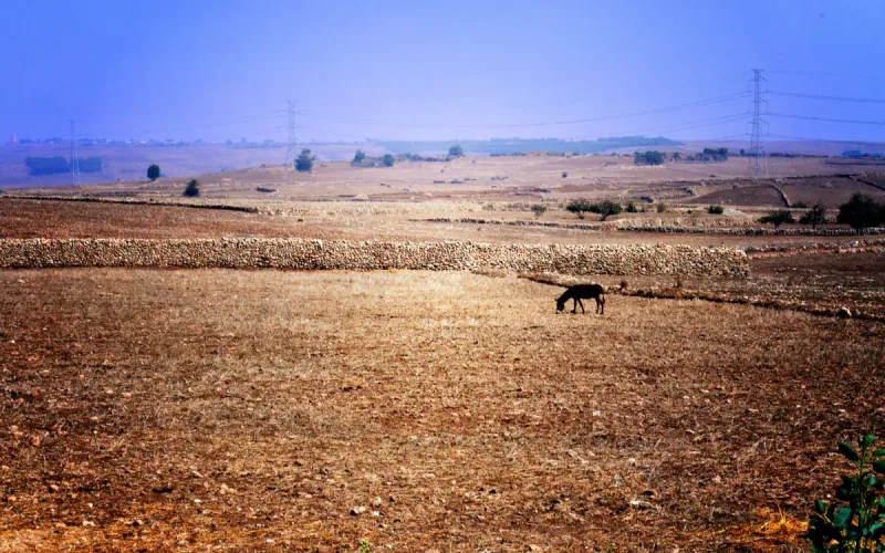 Drug-Resistance Genes Found in Urban and Rural Wastewater in Morocco