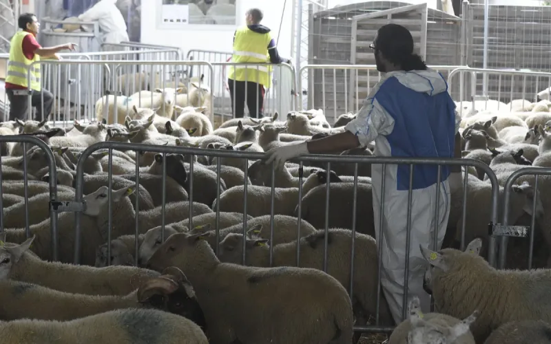 Eid al-Adha 2026 France Date Saudi Arabia Announcement