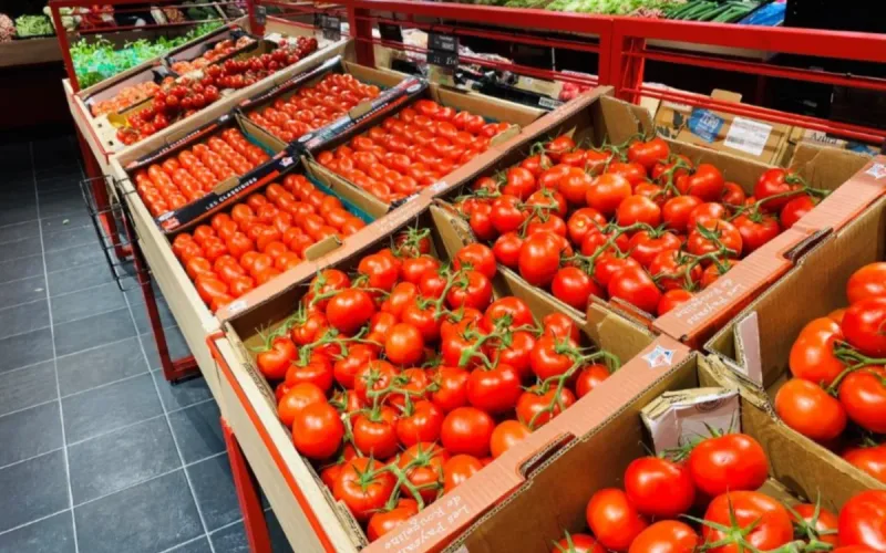 EU Imports More Moroccan Farm Products as Exports to Morocco Fall 10%