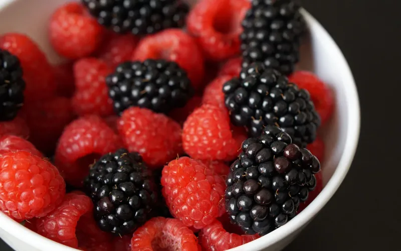 Even Norway now buys more than half of its imported raspberries and blackberries from Morocco