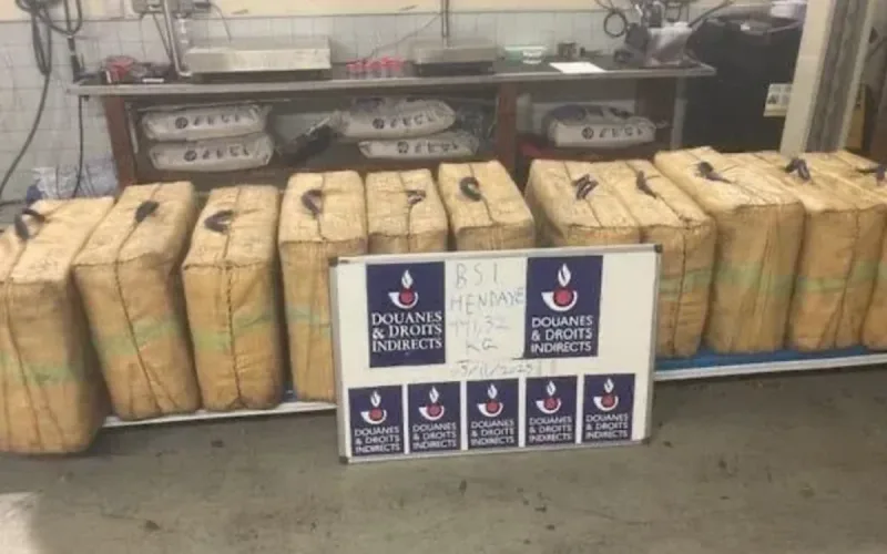 France: 445 kg of cannabis seized at the border, the Moroccan driver ends up in tears and in prison