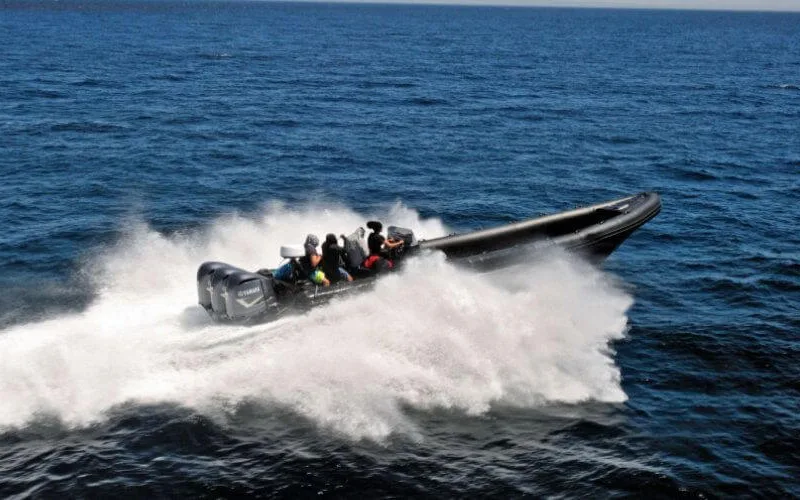 High-Speed Drug Smuggling: Police Chase Cannabis Traffickers in Gibraltar Strait