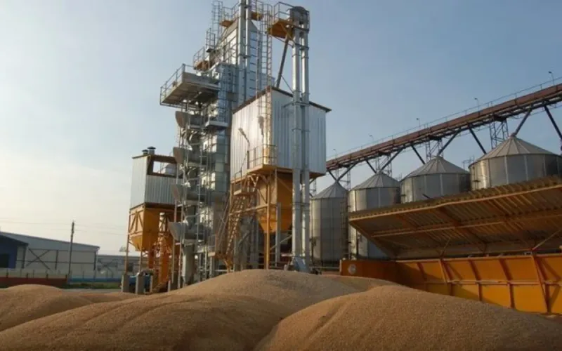 Kazakhstan chooses Morocco to store its wheat and sell it across Africa
