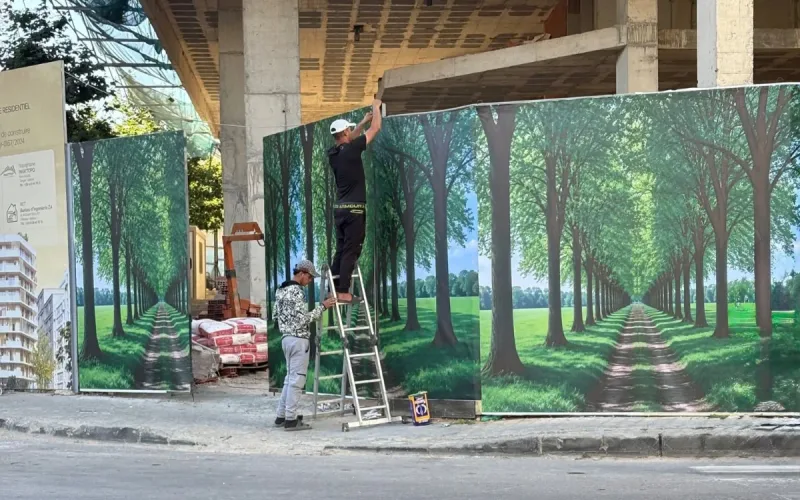 Mohammed VI Tangier visit construction sites fake forests camouflage