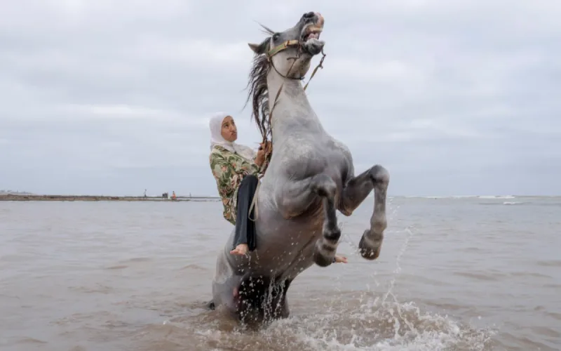 Moroccan Female Riders Honored