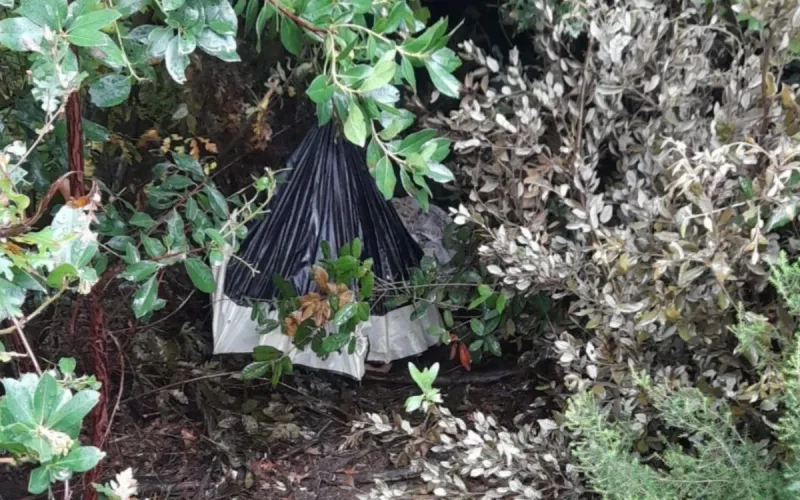 Moroccan Man Wanted in Italy for Over a Year Found Hiding in Tuscan Woods