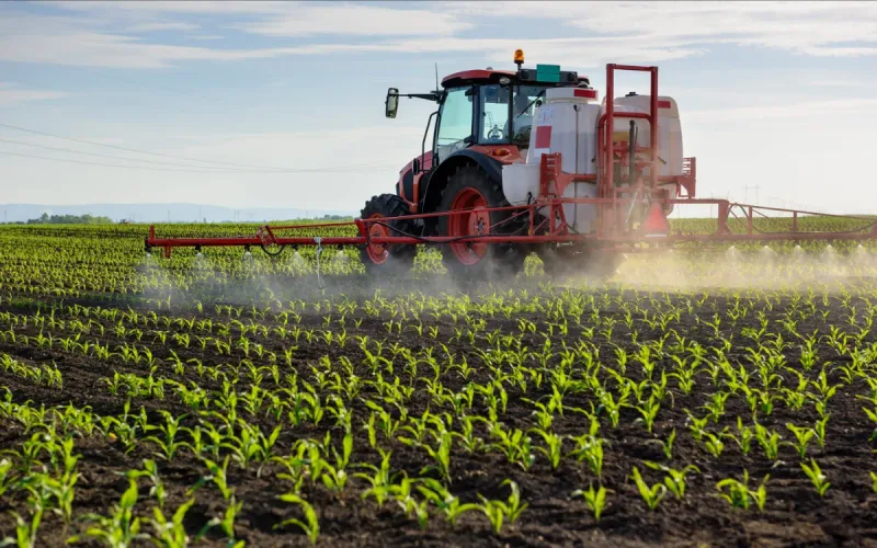 A Moroccan Rock Could Become a New Fertilizer for Africa