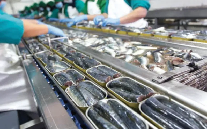 Moroccan Sardines Spain Export Suspension Negotiations