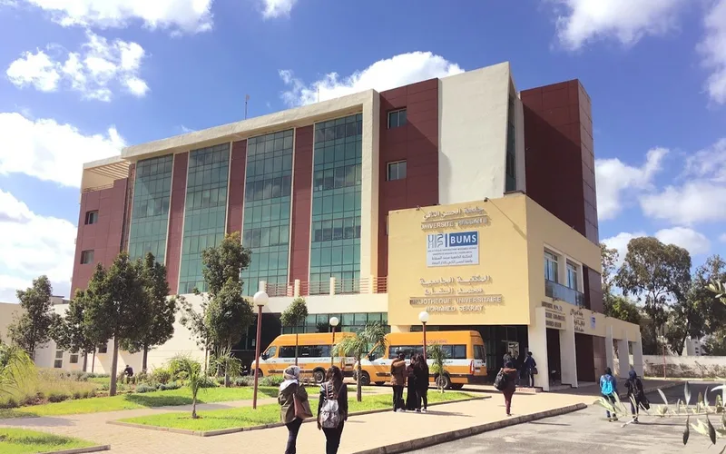 Moroccan Scientists Shatter Global Rankings: 4 Pioneers Break into World's Top 200 Researchers