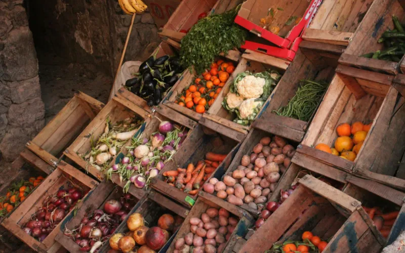 Moroccan Study Finds Unexpected Differences in Radioactivity Levels Across Crops