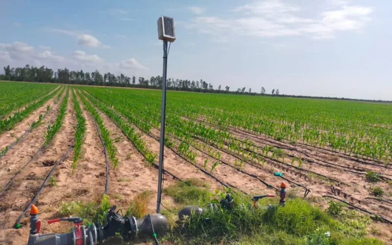 Morocco to automate 1950s canals serving 69,600 hectares in real time