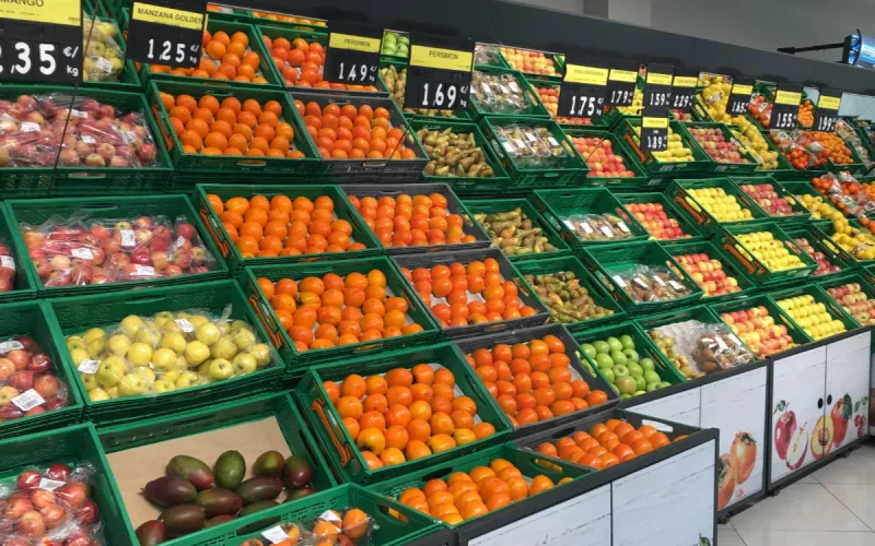 Morocco Dominates Spain's Fresh Produce Imports by Value