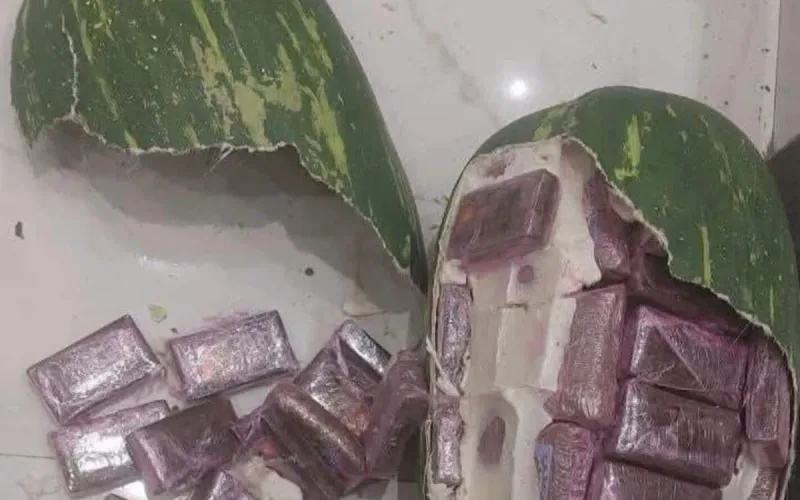 Morocco drug bust: 700kg hashish hidden watermelons Tangier