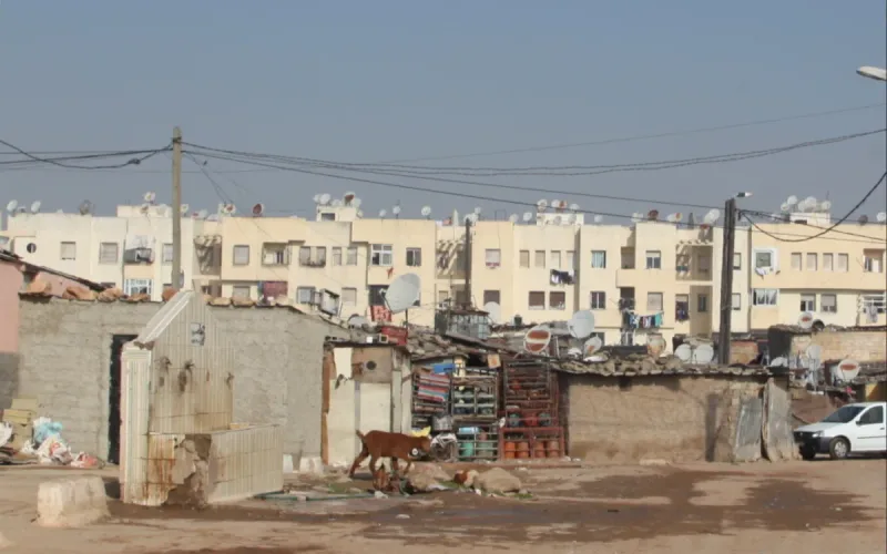 Morocco: Fed up with concrete cities