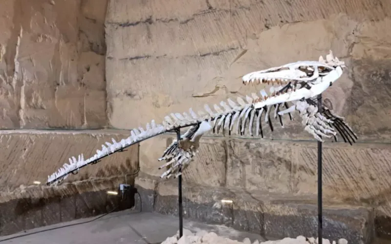 In Morocco, the Fossil Trade Hides a Much Darker Reality