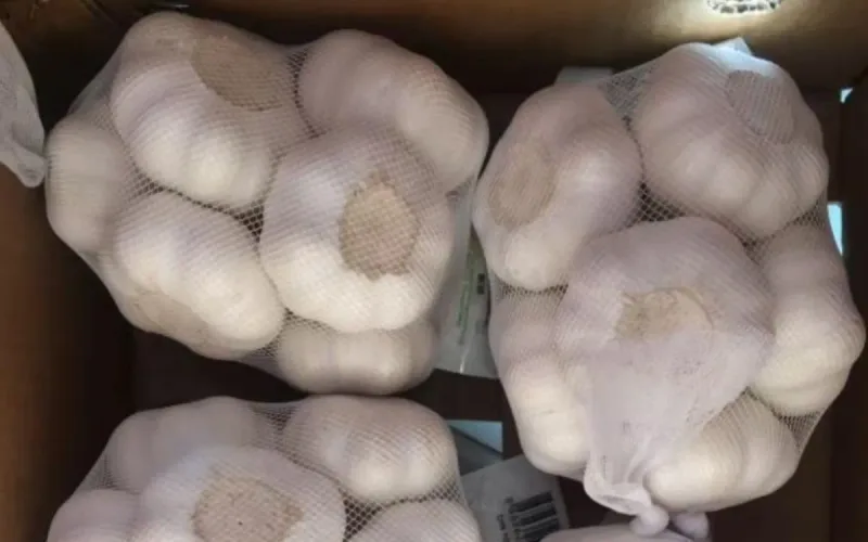 Morocco Garlic Crisis: European Imports Threaten Local Producers