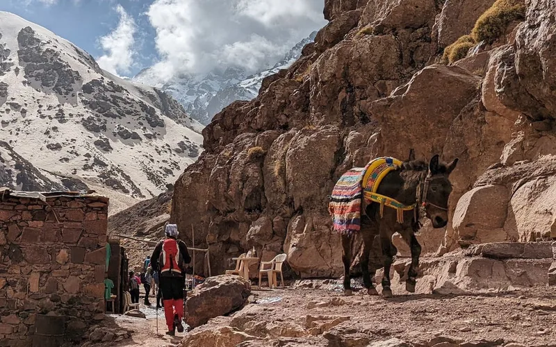 Morocco: he climbs Mount Toubkal to honor the memory of his late wife