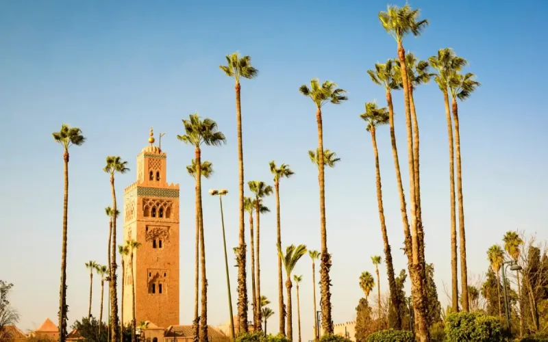 Morocco heat wave alert: 42°C temperatures expected