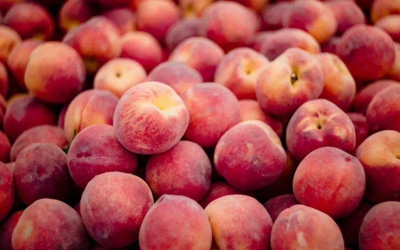 Morocco pays 65 cents a kilo for Spanish peaches, less than half the price paid by other buyers