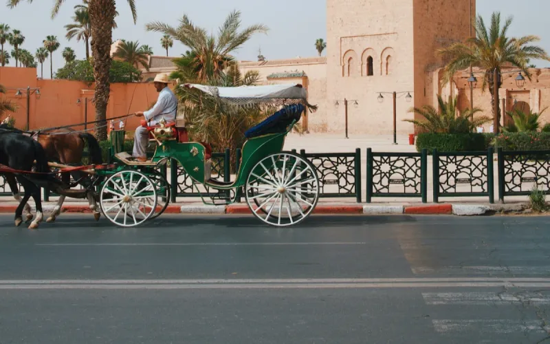 Morocco Permeable Pavements Heat Wave Cities