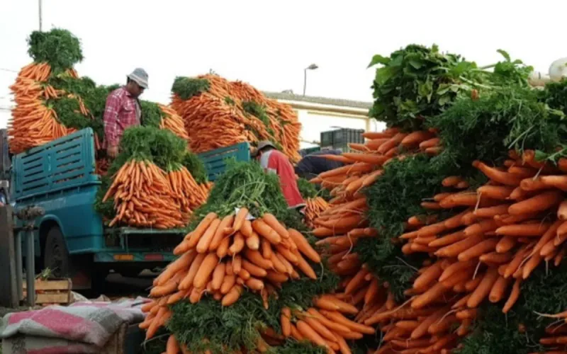 Morocco plans six regional companies to curb produce price markups