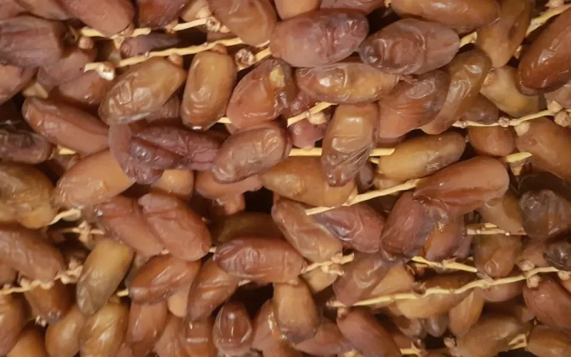 Morocco swallows nearly 20% of Tunisian date exports