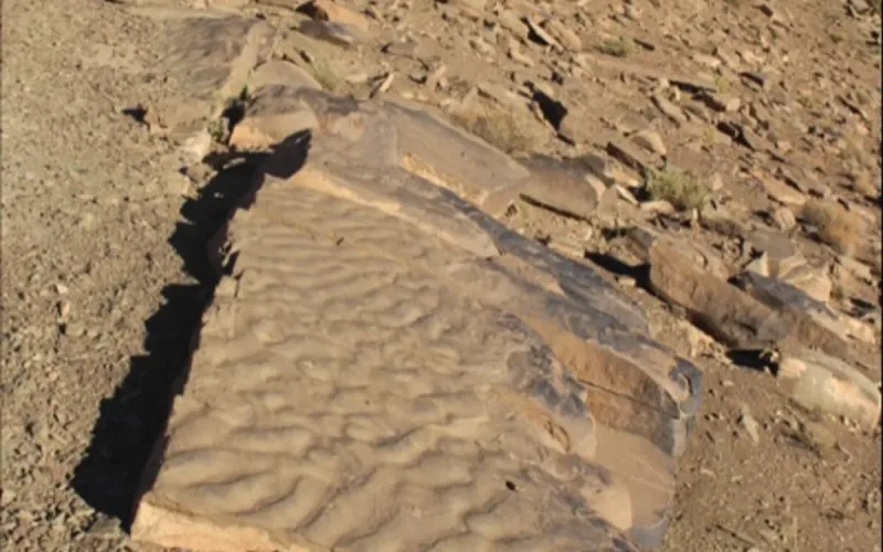 Morocco’s Fossil Microbes Reveal Secrets of Primordial Oceans