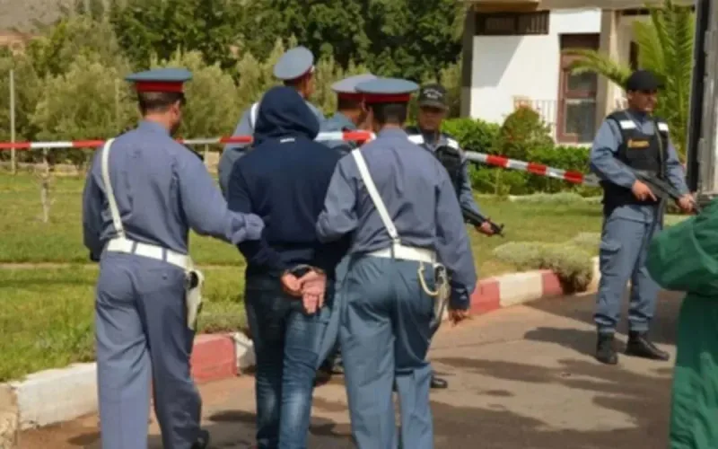 Nador Drug Crackdown: Gendarmerie Dismantles Trafficking Networks