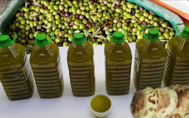 Olive oil: 6,500 liters seized, the hunt for adulterated products accelerates in northern Morocco