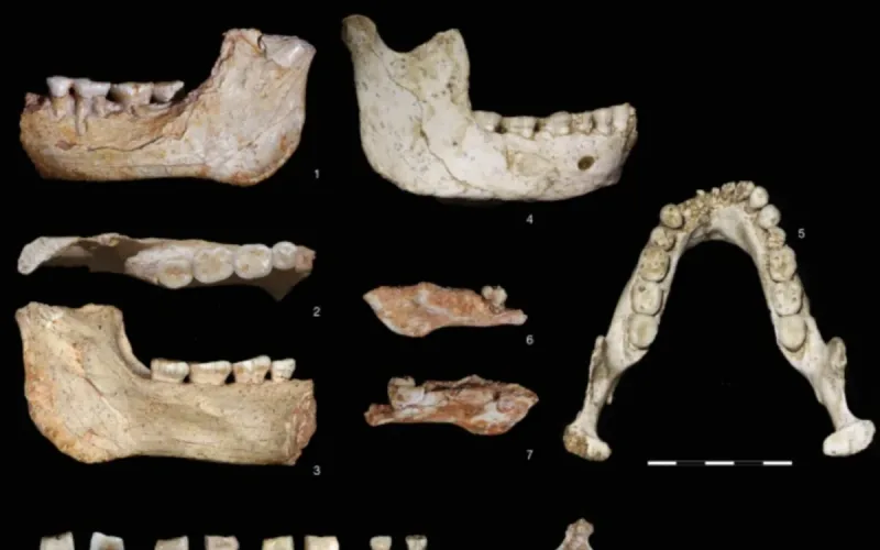 Origins of Humans: Morocco Unveils the Potential Common Ancestor of Sapiens and Neanderthal