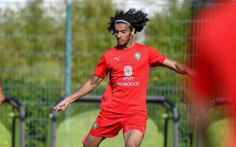 PSG Bouaddi Transfer: Lille Demands Historic Offer