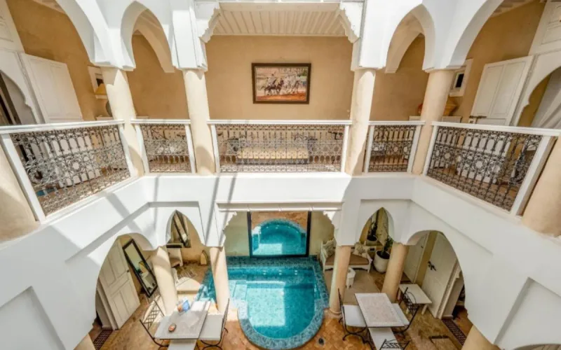 She Spends One Night in a Riad in Marrakech and Returns to France with Nearly 150 Bites