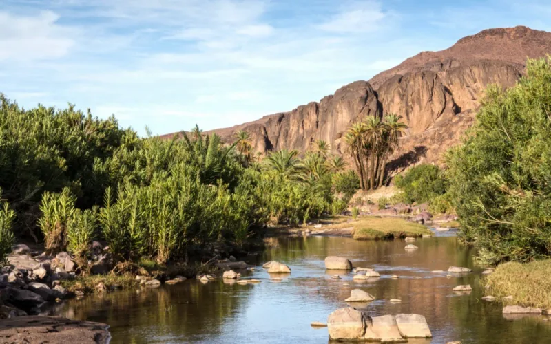 Six Moroccan Lakes Have Dried Up Completely as Farming and Water Extraction Worsen Drought