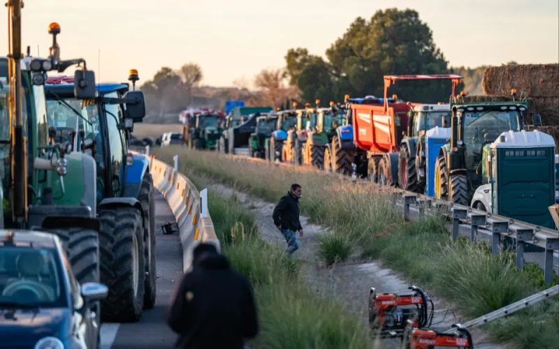 Spanish farmer accuses companies of moving production to Morocco for cheaper labor