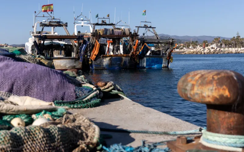 Spanish fishing collapses as Morocco benefits: “The rules are not the same”