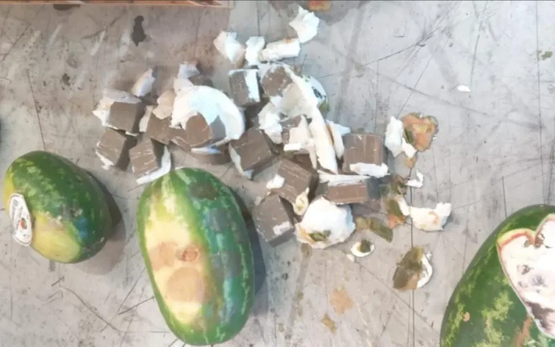 At Tanger Med, Watermelons Concealed 350 Kilos of Cannabis