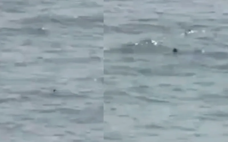Tragic Discovery: Teen Migrant's Body Found in Moroccan Waters Near Ceuta