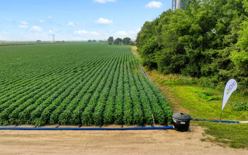 Trump Morocco Phosphate Deal Angers Spanish Farmers