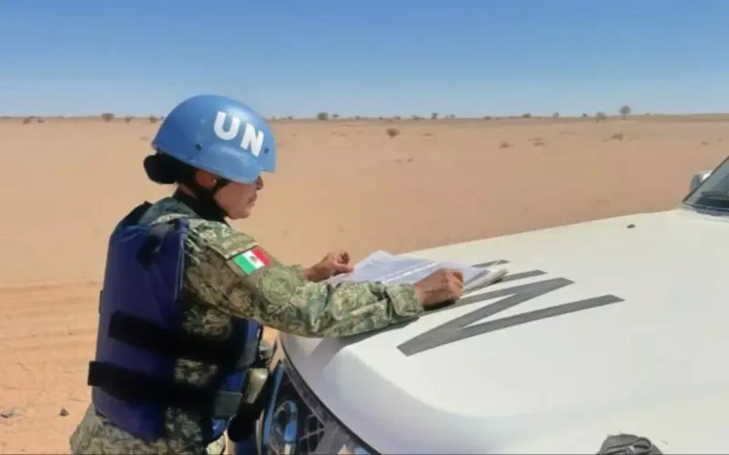 US Proposal Would Drop Referendum From MINURSO’s Name and Cut Troop Numbers by Half