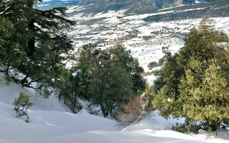 Weather alert in Morocco: Up to -9°C and 20 cm of snow expected