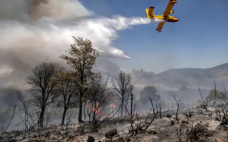 Wildfires in Morocco: the Rif and Atlas classified as being at extreme risk this week
