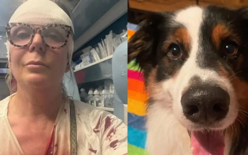 Woman Who Accused Moroccan Man of Dog-Related Attack Now Under Investigation