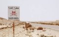 Moroccan Diplomat: 813 Killed by Landmines in Western Sahara Conflict